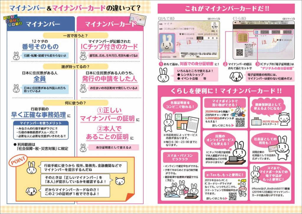 マイナンバーとマイナンバーカードの違い
