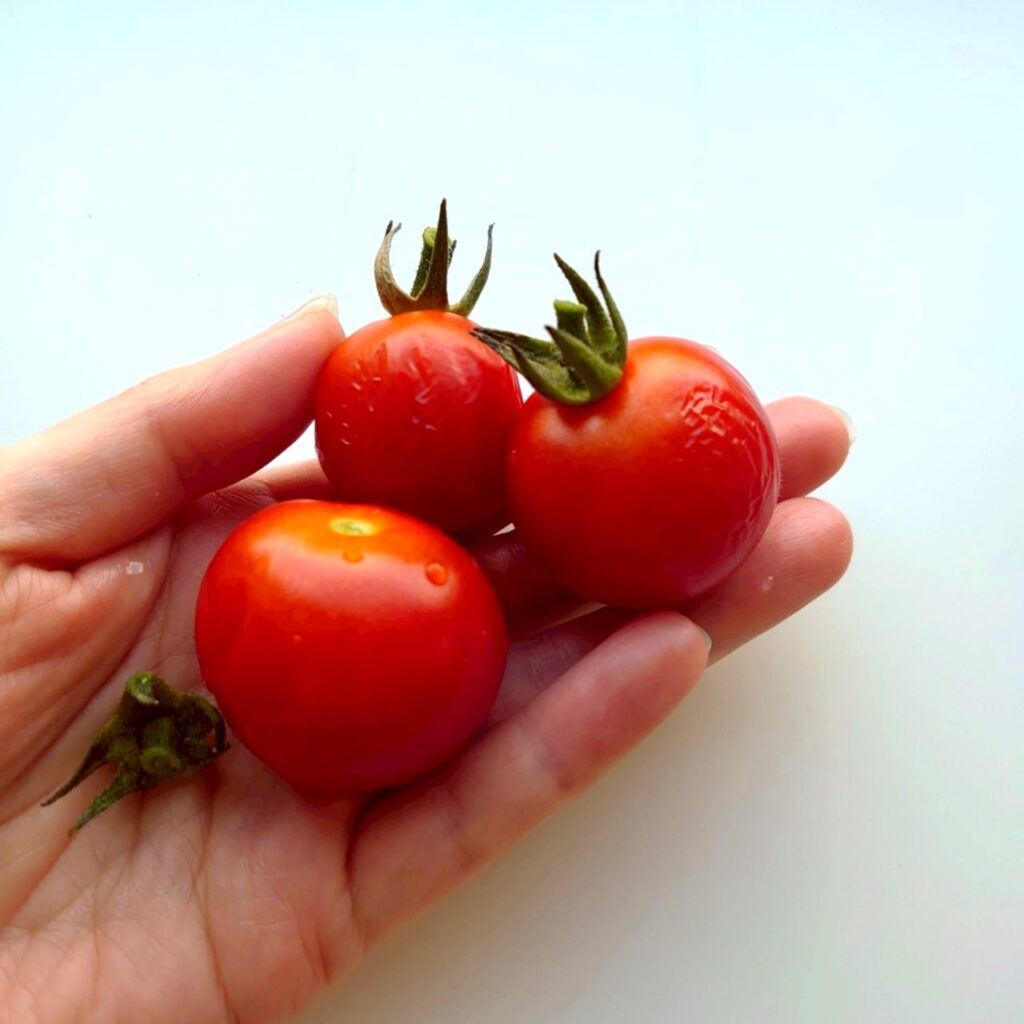 収穫したフルティカ-2025/7/10