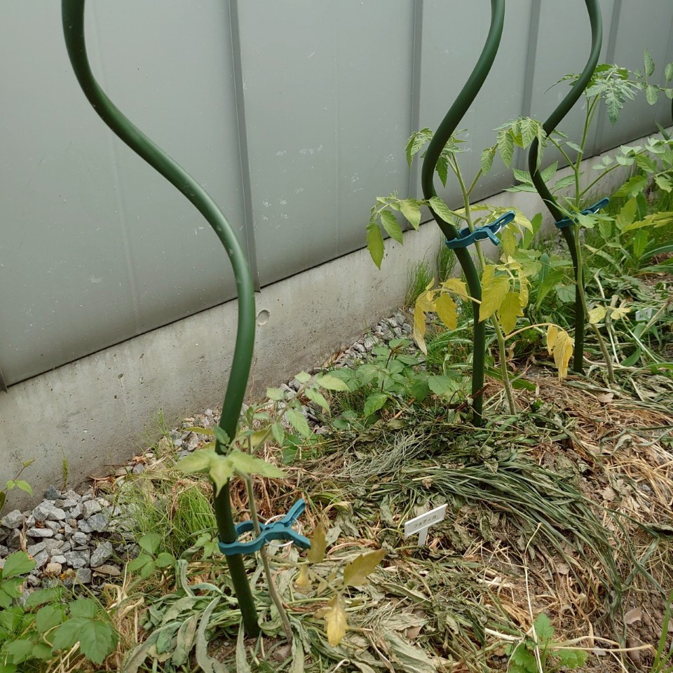 フルティカ路地①-2025/7/18