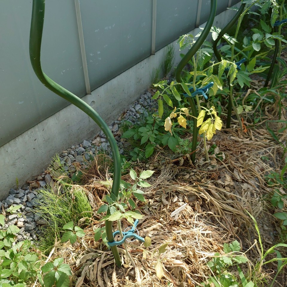 フルティカ路地①-2025/7/22