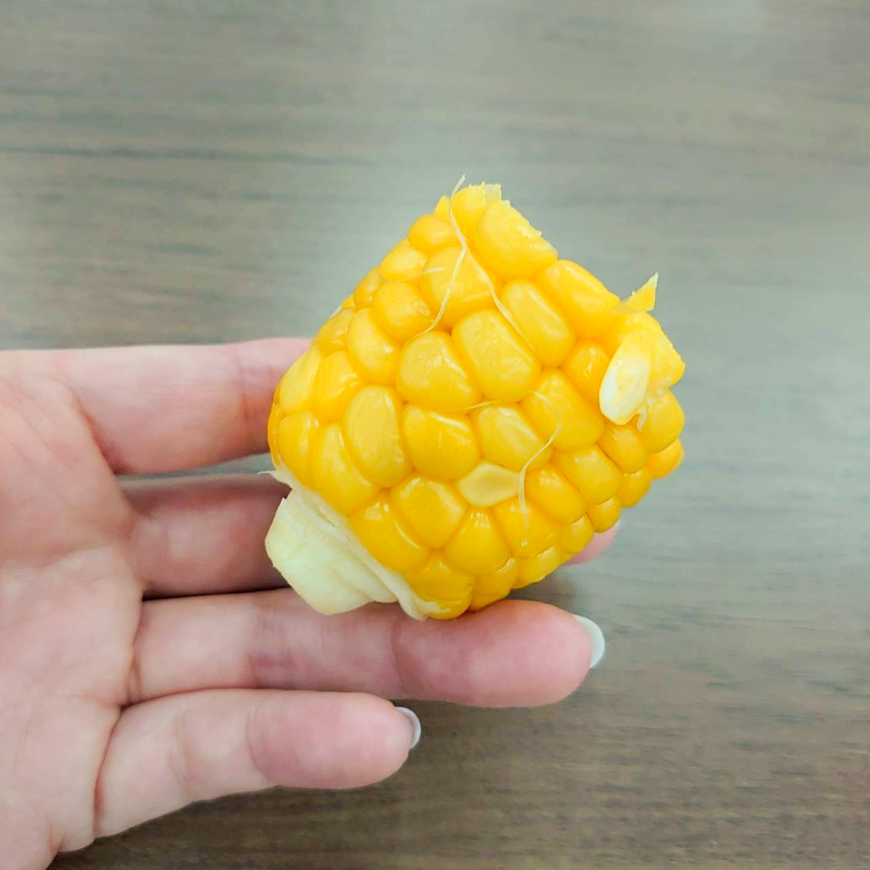 収穫したトウモロコシ④-2025/8/19